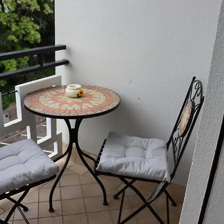 Monika 315 Magic Daire *