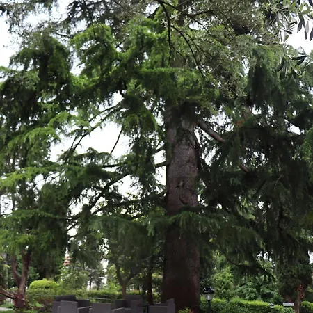 Monika 315 Magic * Garda (Verona)