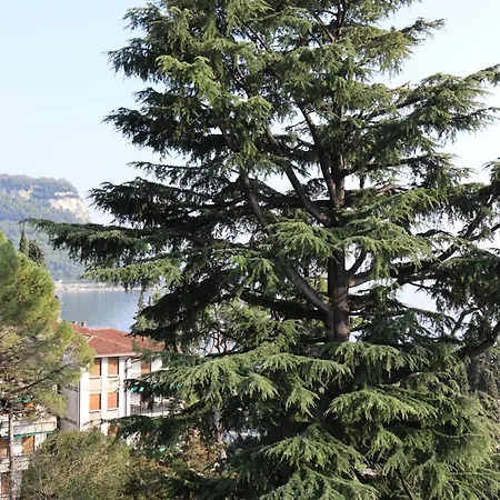 Monika 315 Magic 아파트 가르다